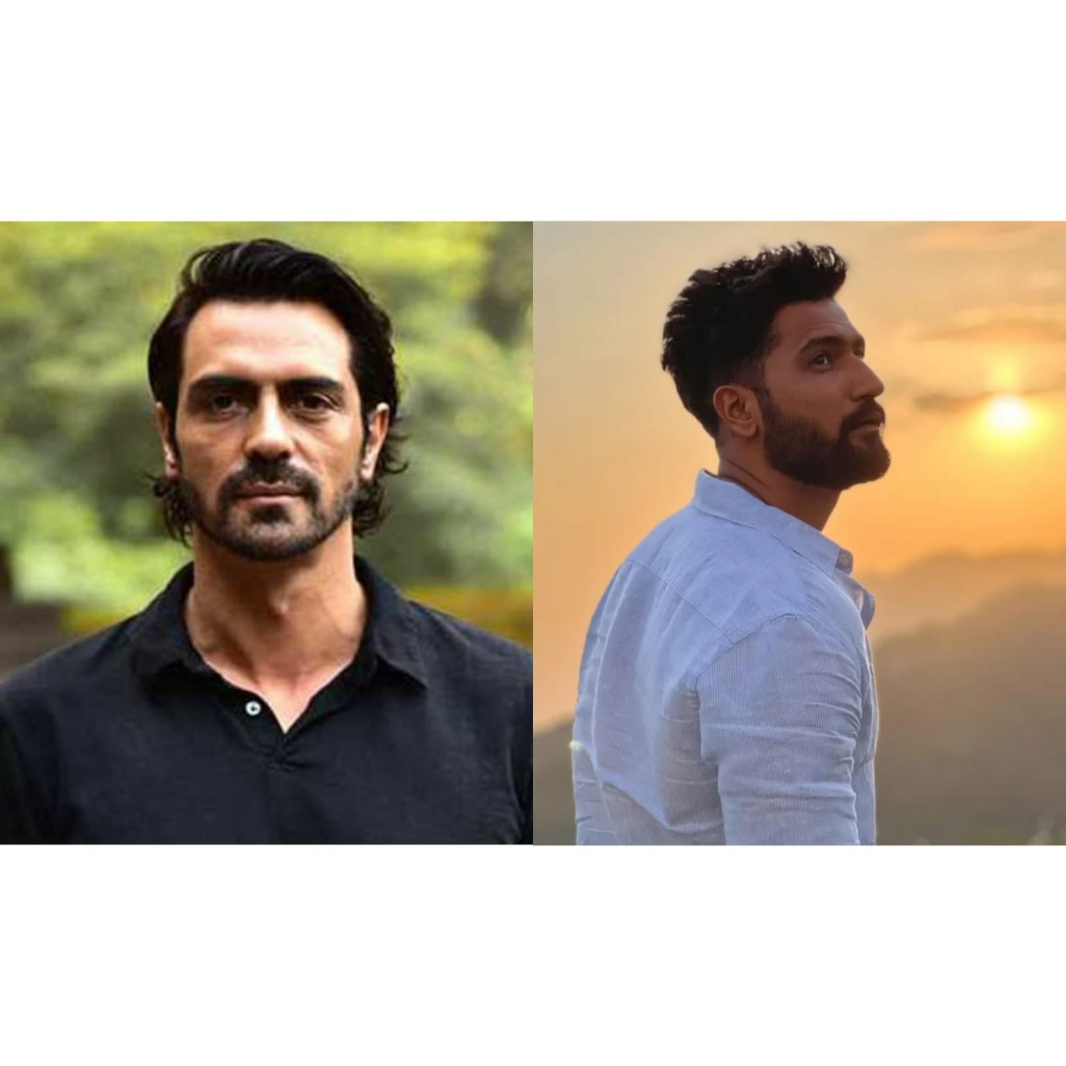 6 Bollywood Celebs Who Went Nude For Photoshoots IB
