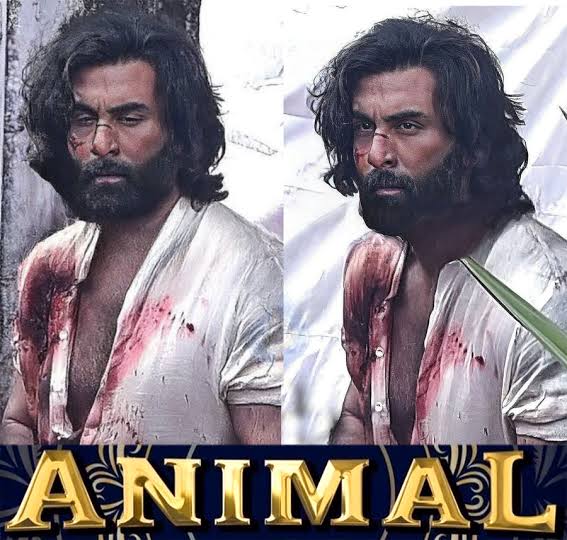 IMG-20221230-WA0037 - Instant Bollywood Ranbir Kapoor Animal Movie