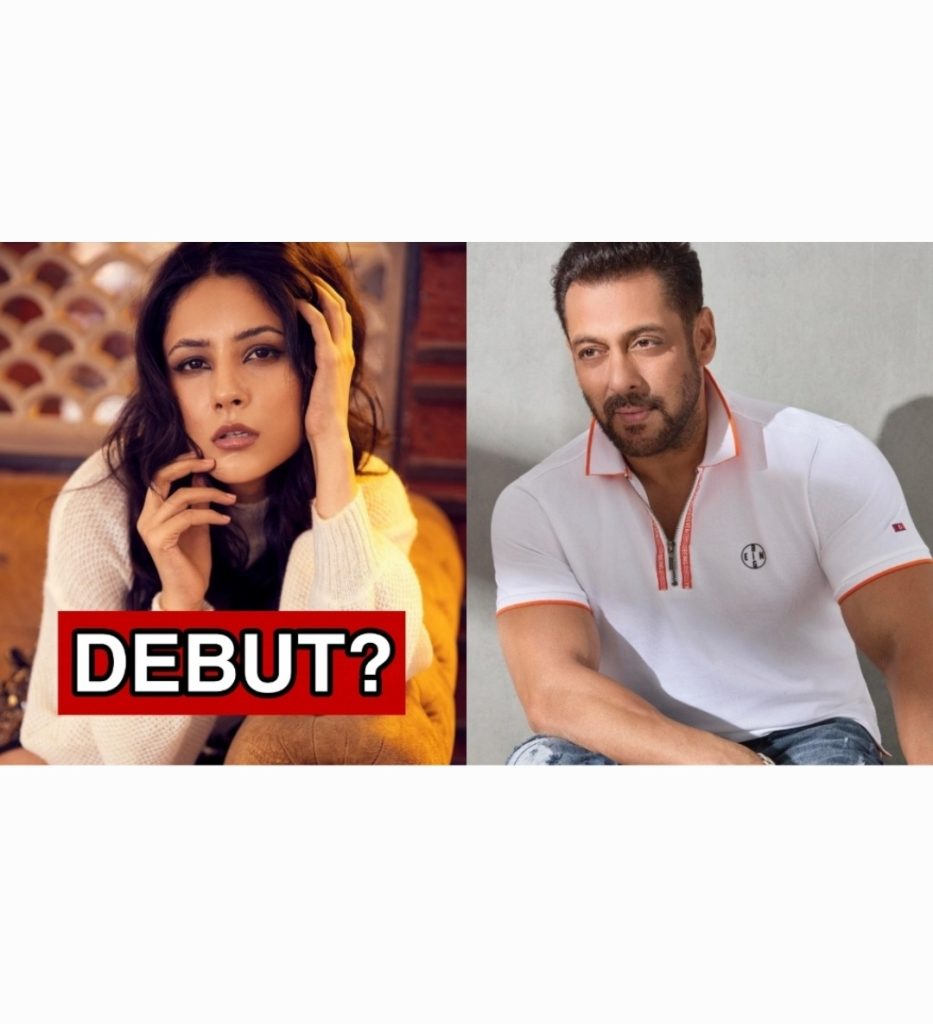 Shehnaaz Goll Bollywood debut - Salman Khan Kabhi Eid Kabhi Diwali