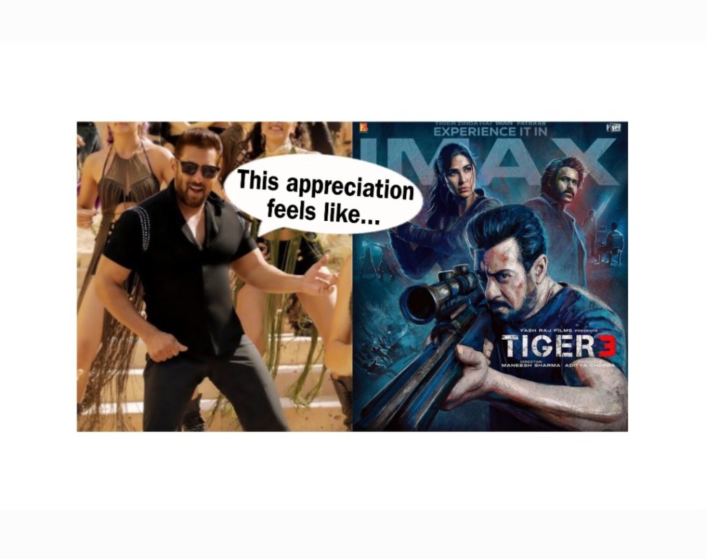 Salman Khan Tiger 3 success