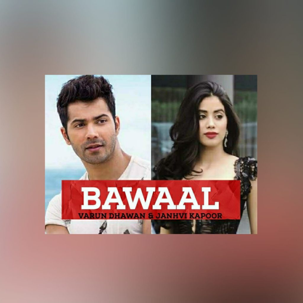 bawaal movie