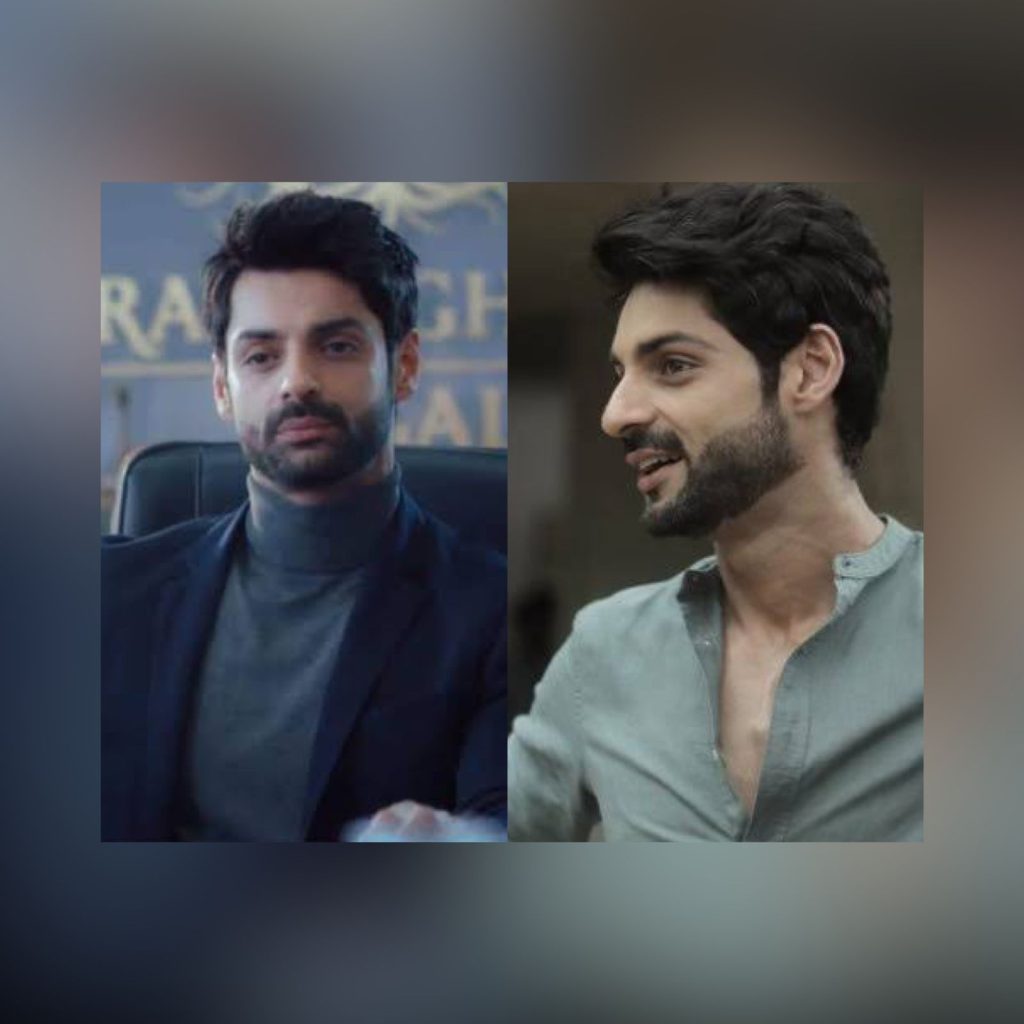 karan-wahi-raisinghani-vs-raisinghani