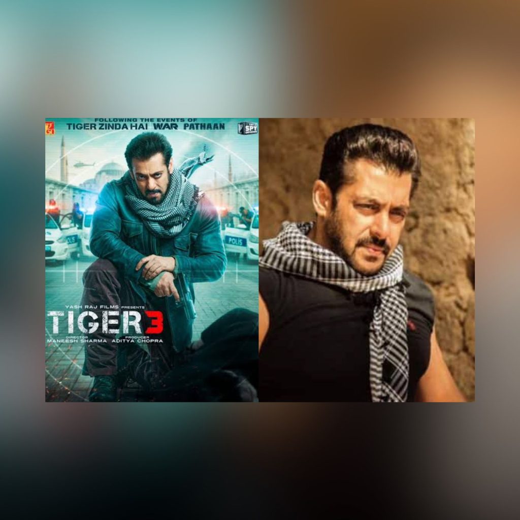 Tiger 3 Promo