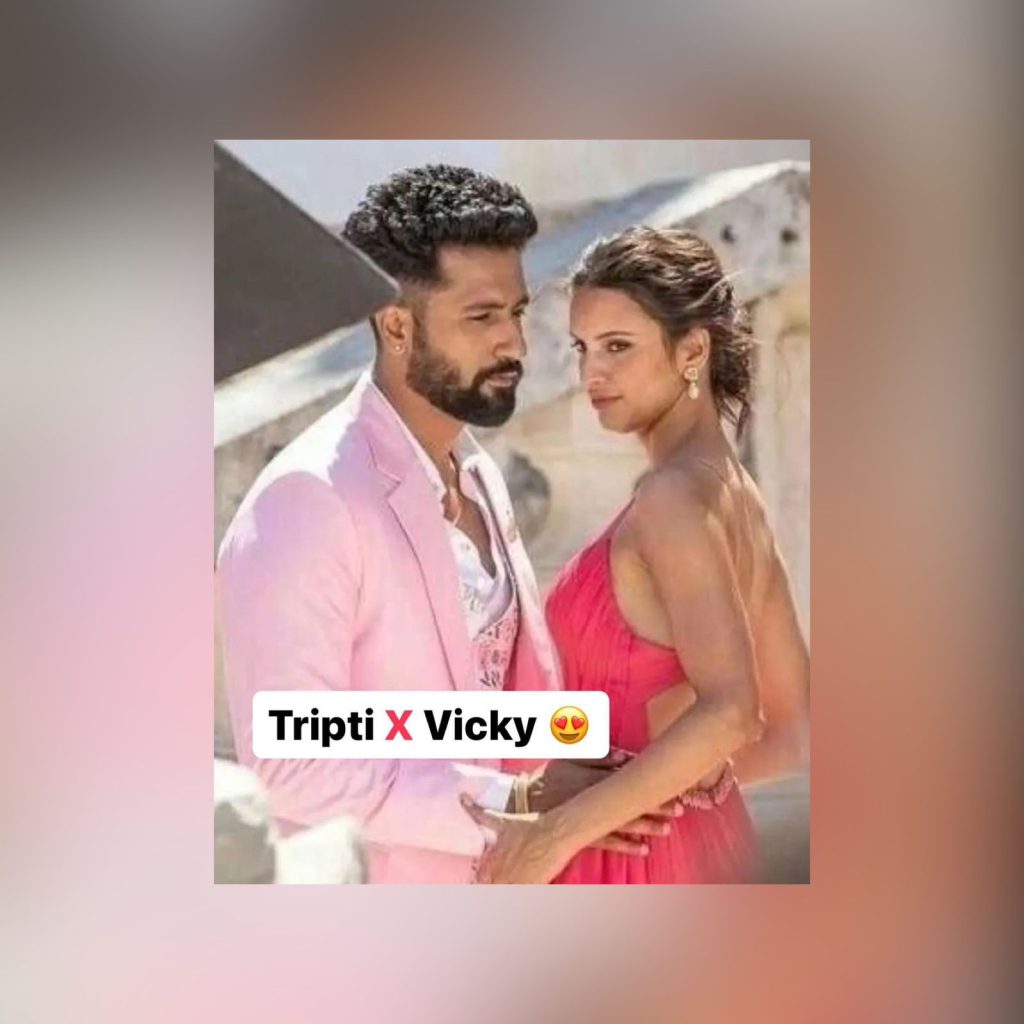 Triptii Dimri Mere Mehboob Mere Sanam