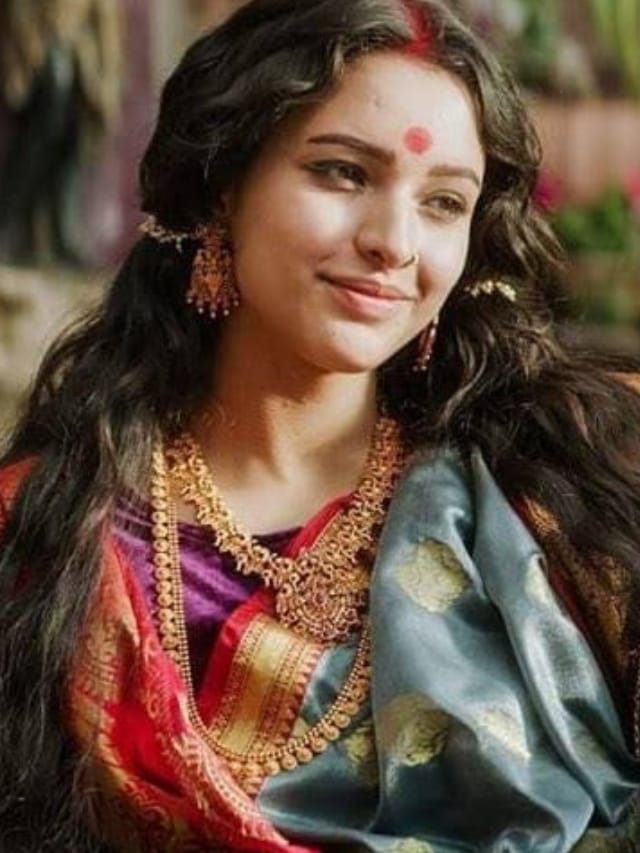 5 years of bulbbul triptii dimri powerhouse