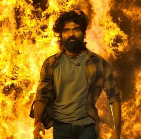 Dhanush Delivers His Biggest Cinematic Opening in 2025 with Tere Ishk Mein