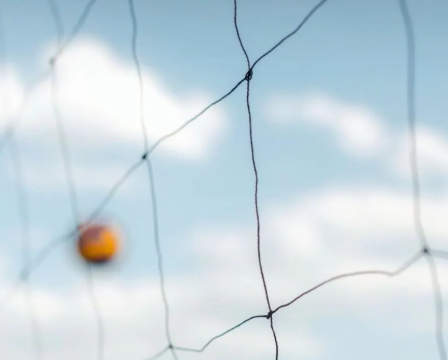 Vijay Rashmika host a pool party